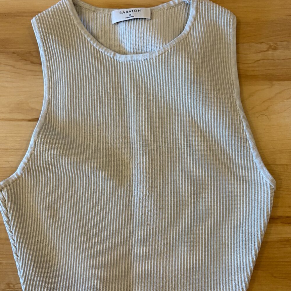 Aritzia Babaton Crop Top